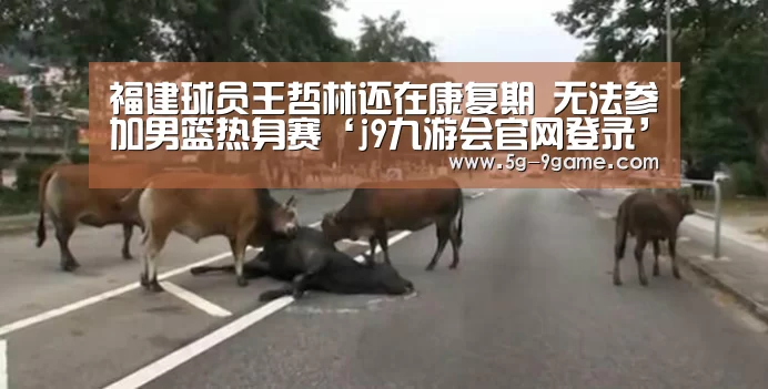 福建球员王哲林还在康复期 无法参加男篮热身赛‘j9九游会官网登录’(图3) 九游会官网入口
