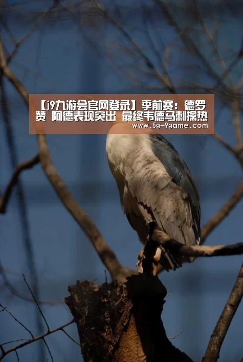 【j9九游会官网登录】季前赛:德罗赞 阿德表现突出 最终韦德马刺擒热火(图2) 九游会官网入口